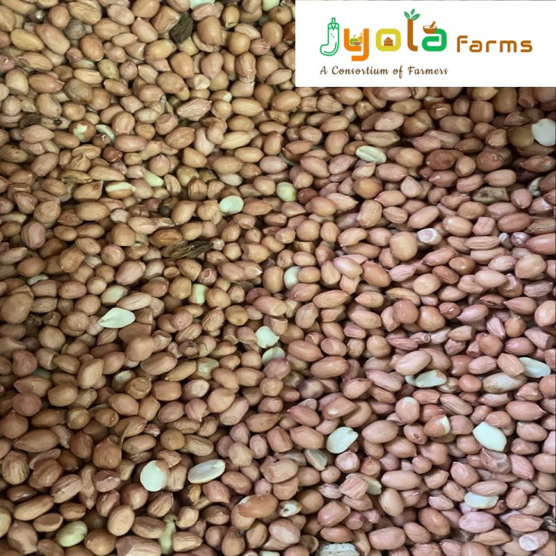 groundnut-oil3